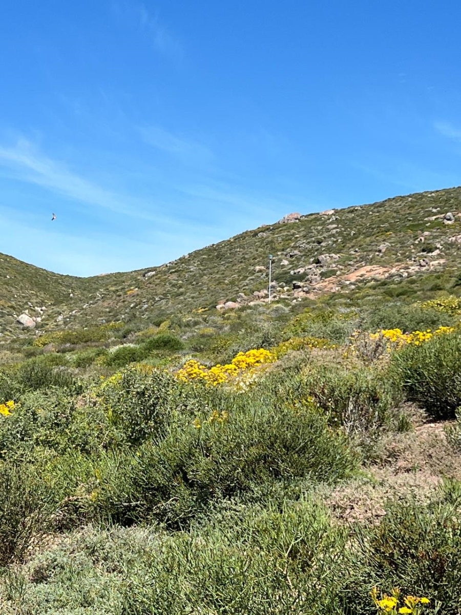 Commercial Property for Sale in St Helena Views Western Cape